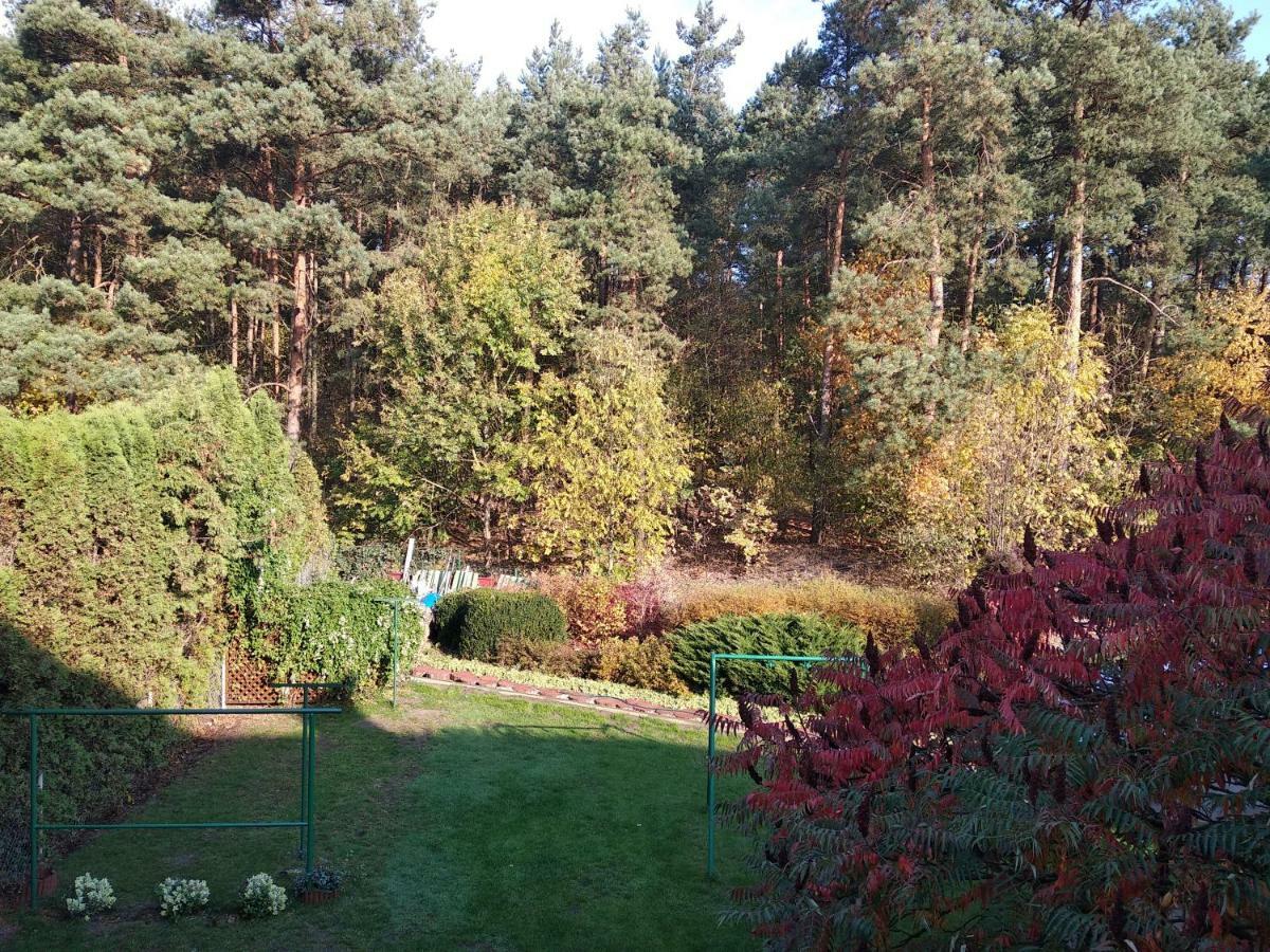Homestay Lesna 5e