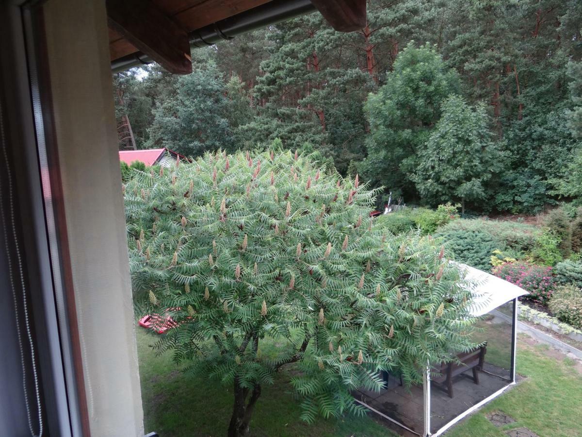 Lesna 5e * Sztutowo